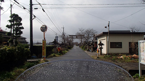 晴れてきました